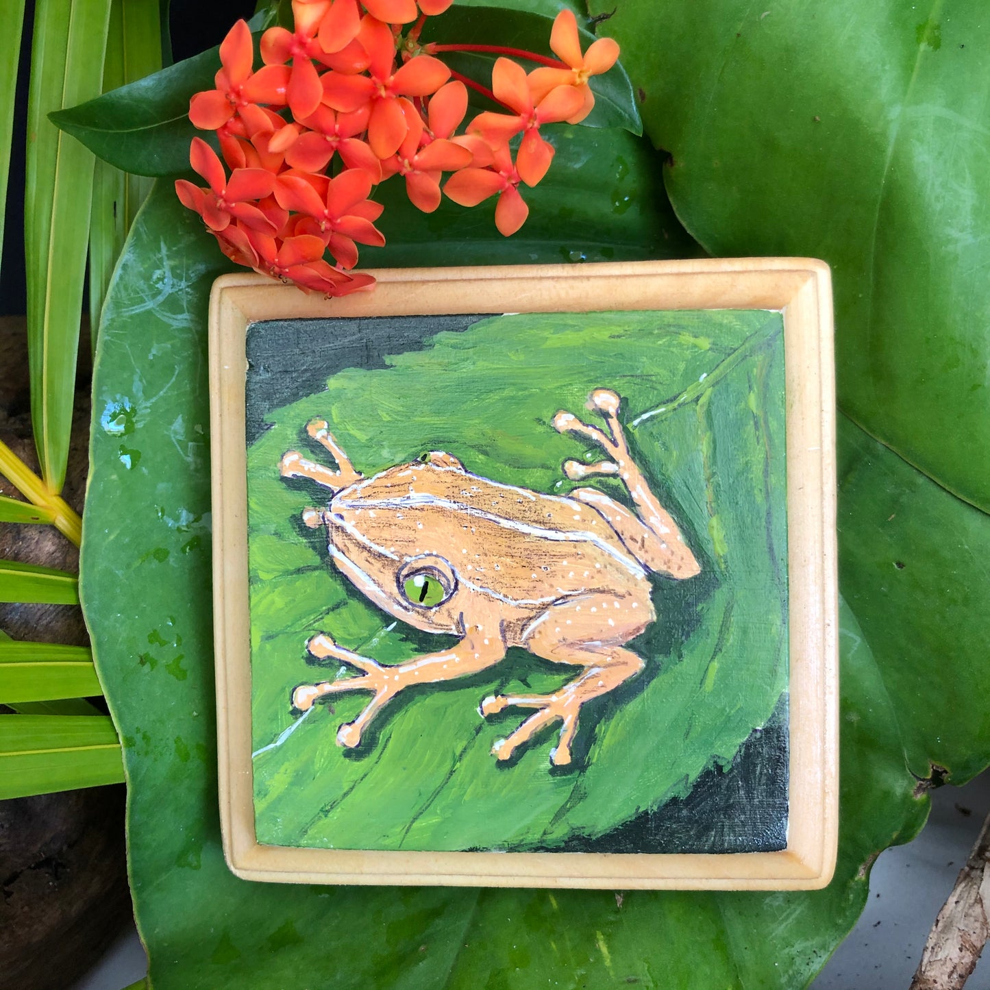 Artesanía - Coqui 1