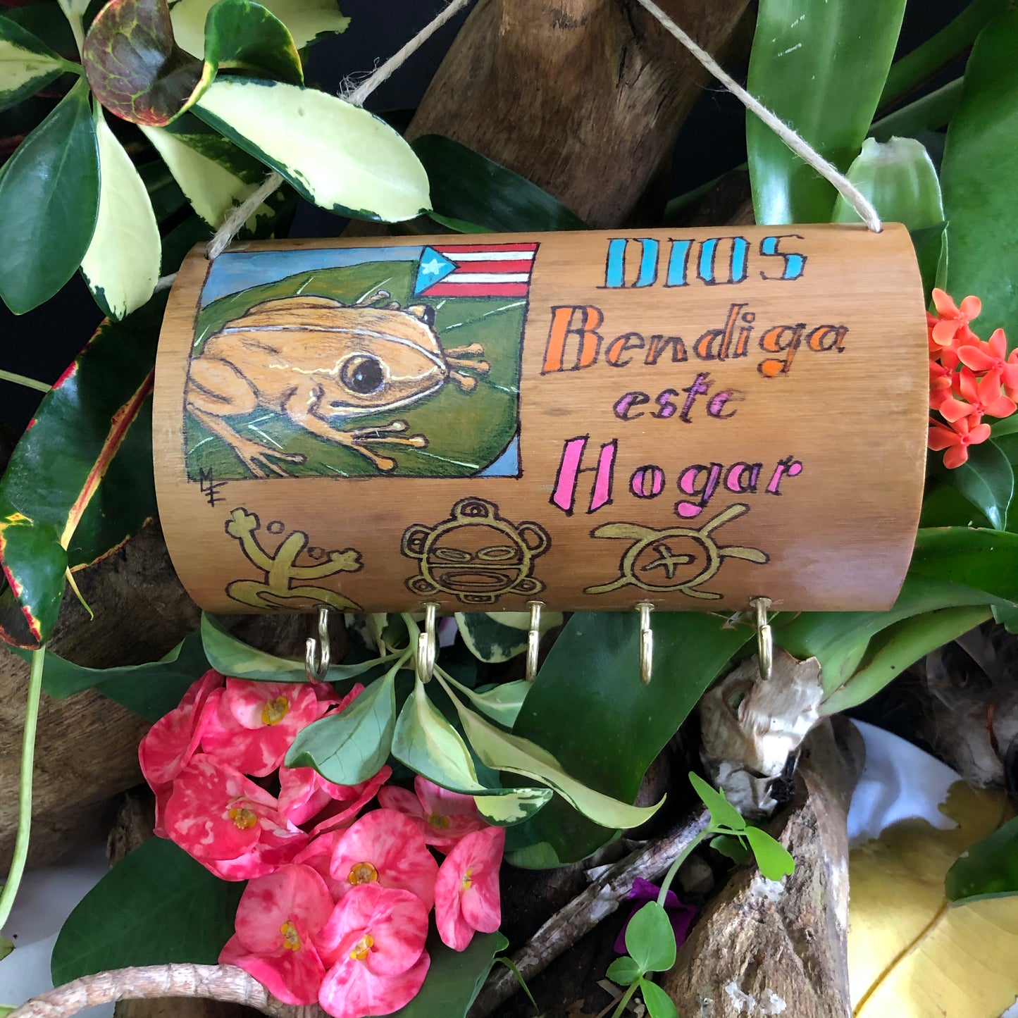 Artesanía - Dios bendiga este hogar - coquí