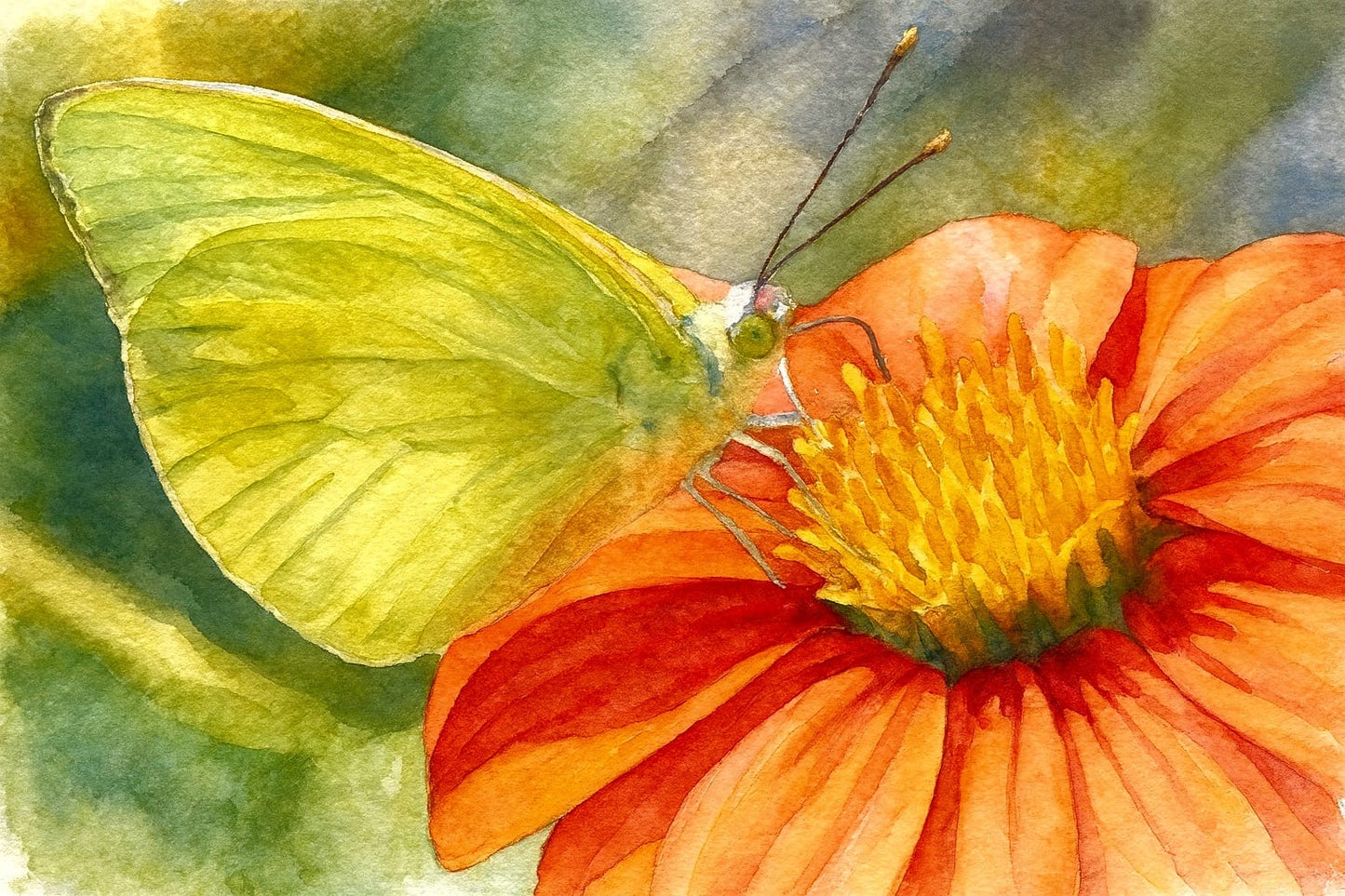 Mariposa sobre flor