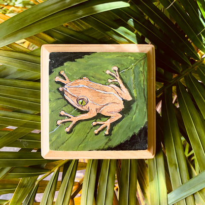 Artesanía - Coqui 1