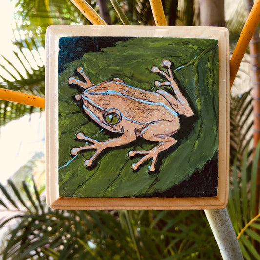 Artesanía - Coqui 1