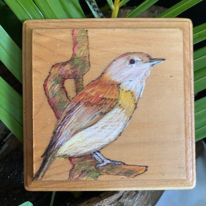 Artesanía - Pájaro  "Veterano"