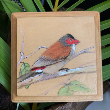 Artesanía - Pájaro  "Bienteveo"
