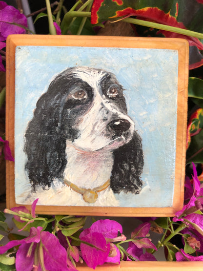 Artesanía -  "Dog pink"