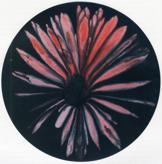 Margarita Africana