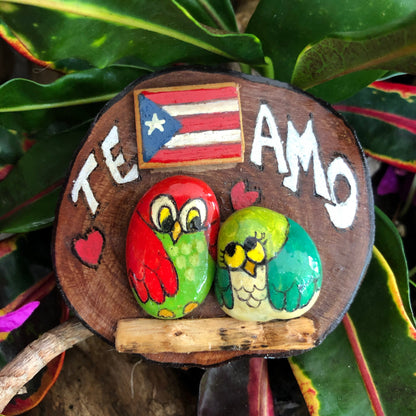 Artesanía - Two Buhitos in love - rock owls - Puerto Rico flag.