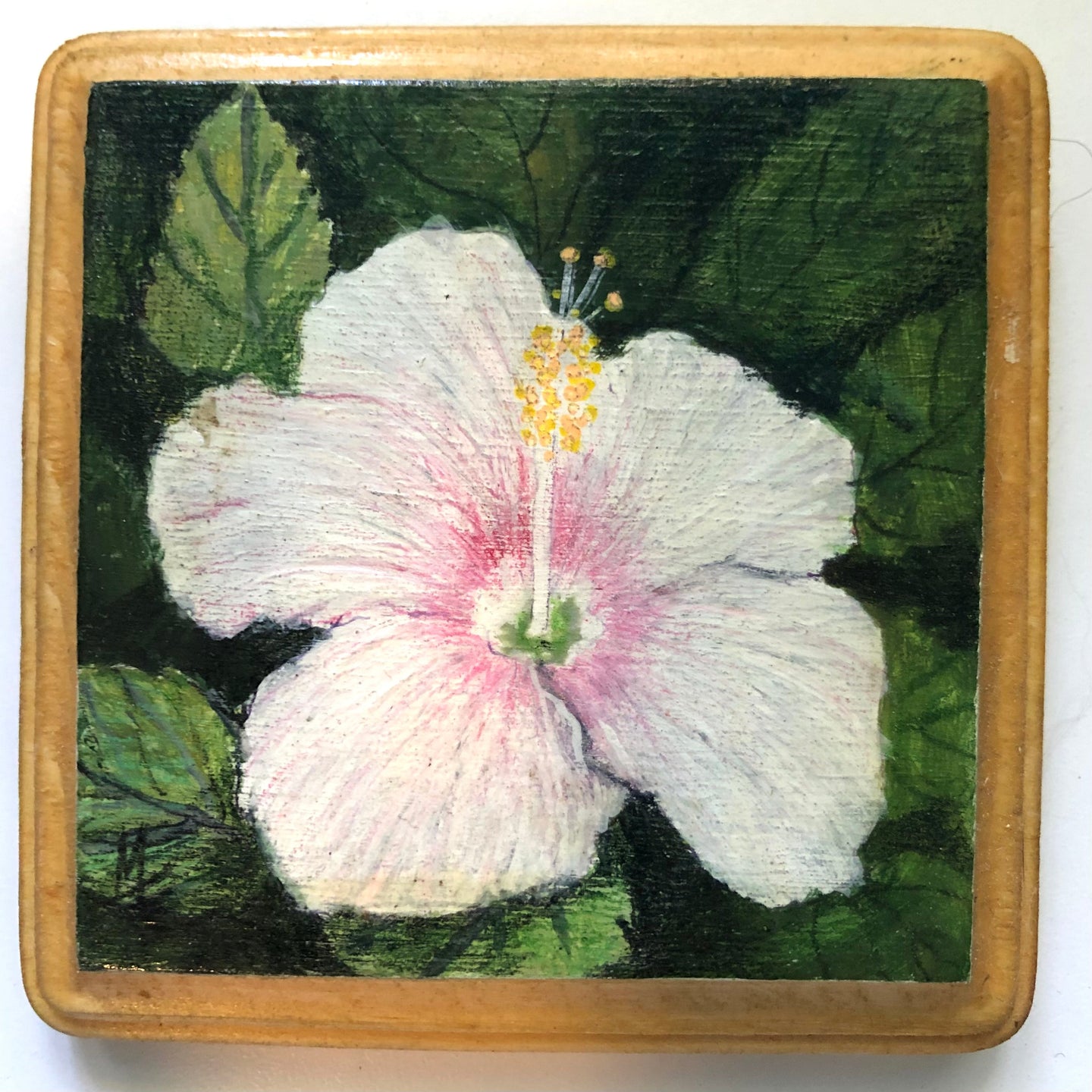 Artesanía - Flor de maga blanca 2